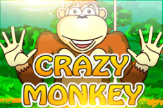 Crazy Monkey